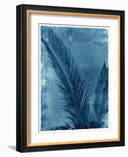 Sago Palm-John Kuss-Framed Photographic Print