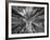 Sagrada 1-Moises Levy-Framed Photographic Print