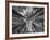 Sagrada 1-Moises Levy-Framed Photographic Print