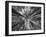 Sagrada 1-Moises Levy-Framed Photographic Print