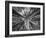 Sagrada 1-Moises Levy-Framed Photographic Print