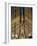 Sagrada Familia at Dusk, UNESCO World Heritage Site, Barcelona, Catalonia, Spain, Europe-Sergio Pitamitz-Framed Photographic Print