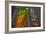 Sagrada Familia, Barcelona, Catalonia, Spain-Mark Mawson-Framed Photographic Print