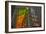 Sagrada Familia, Barcelona, Catalonia, Spain-Mark Mawson-Framed Photographic Print