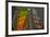 Sagrada Familia, Barcelona, Catalonia, Spain-Mark Mawson-Framed Photographic Print