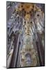 Sagrada Familia, Barcelona, Catalonia, Spain-Mark Mawson-Mounted Photographic Print