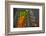 Sagrada Familia, Barcelona, Catalonia, Spain-Mark Mawson-Framed Photographic Print