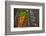 Sagrada Familia, Barcelona, Catalonia, Spain-Mark Mawson-Framed Photographic Print