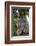 Sagrada Familia, Barcelona, Catalonia, Spain-Mark Mawson-Framed Photographic Print