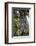 Sagrada Familia, Barcelona, Catalonia, Spain-Mark Mawson-Framed Photographic Print