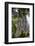 Sagrada Familia, Barcelona, Catalonia, Spain-Mark Mawson-Framed Photographic Print