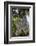 Sagrada Familia, Barcelona, Catalonia, Spain-Mark Mawson-Framed Photographic Print