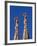 Sagrada Familia, Barcelona, Spain-Jon Arnold-Framed Photographic Print