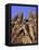 Sagrada Familia Cathedral by Gaudi, East Face Detail, Barcelona, Catalonia, Spain-Charles Bowman-Framed Premier Image Canvas