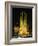 Sagrada Familia, the Gaudi Cathedral, Illuminated at Night in Barcelona, Cataluna, Spain-Nigel Francis-Framed Photographic Print