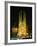 Sagrada Familia, the Gaudi Cathedral, Illuminated at Night in Barcelona, Cataluna, Spain-Nigel Francis-Framed Photographic Print