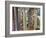 Sagrada Familia, UNESCO World Heritage Site, Barcelona, Catalonia, Spain, Europe-Mark Mawson-Framed Photographic Print