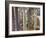 Sagrada Familia, UNESCO World Heritage Site, Barcelona, Catalonia, Spain, Europe-Mark Mawson-Framed Photographic Print