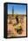 Saguaro and Cholla Cacti in the Arizona Desert-hpbfotos-Framed Premier Image Canvas