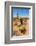 Saguaro and Cholla Cacti in the Arizona Desert-hpbfotos-Framed Photographic Print