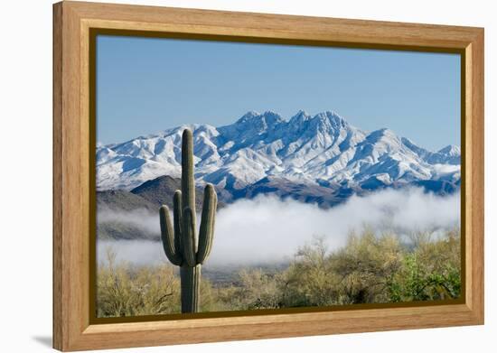 Saguaro and Four Peaks-raphoto-Framed Premier Image Canvas