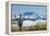 Saguaro and Four Peaks-raphoto-Framed Premier Image Canvas