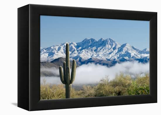 Saguaro and Four Peaks-raphoto-Framed Premier Image Canvas