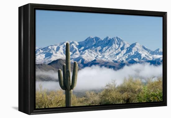 Saguaro and Four Peaks-raphoto-Framed Premier Image Canvas