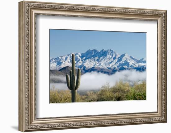 Saguaro and Four Peaks-raphoto-Framed Photographic Print