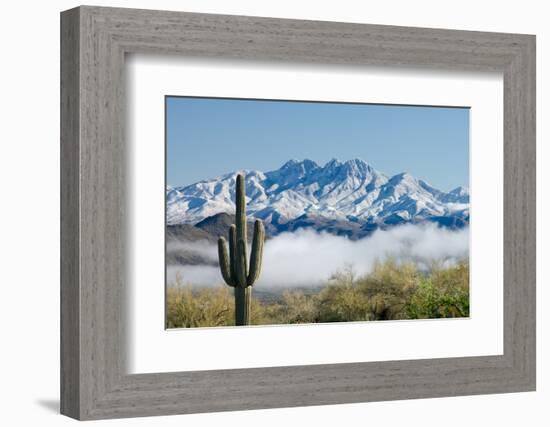 Saguaro and Four Peaks-raphoto-Framed Photographic Print