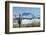 Saguaro and Four Peaks-raphoto-Framed Photographic Print