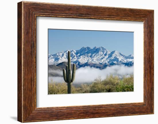 Saguaro and Four Peaks-raphoto-Framed Photographic Print