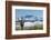 Saguaro and Four Peaks-raphoto-Framed Photographic Print