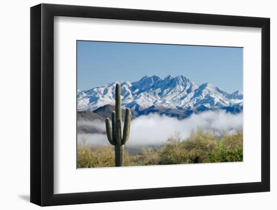 Saguaro and Four Peaks-raphoto-Framed Photographic Print