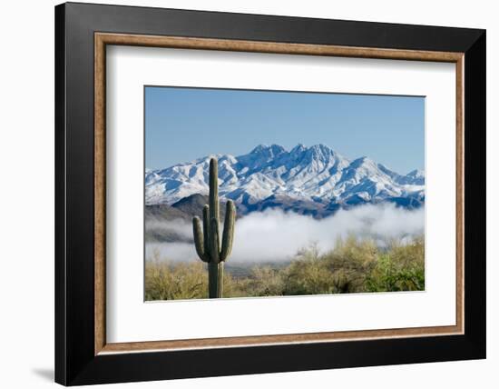 Saguaro and Four Peaks-raphoto-Framed Photographic Print