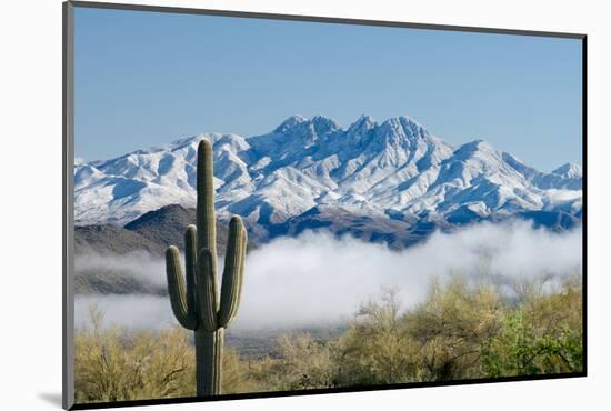 Saguaro and Four Peaks-raphoto-Mounted Photographic Print