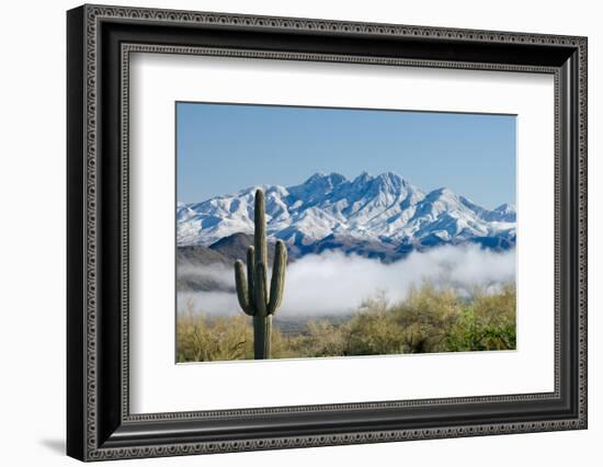 Saguaro and Four Peaks-raphoto-Framed Photographic Print