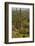 Saguaro and Prickly Pear Cacti, Signal Hill, Saguaro NP, Arizona, Usa-Michel Hersen-Framed Photographic Print