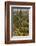 Saguaro and Prickly Pear Cacti, Signal Hill, Saguaro NP, Arizona, Usa-Michel Hersen-Framed Photographic Print