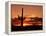 Saguaro at Sunset-James Randklev-Framed Premier Image Canvas