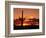 Saguaro at Sunset-James Randklev-Framed Photographic Print