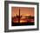 Saguaro at Sunset-James Randklev-Framed Photographic Print