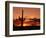 Saguaro at Sunset-James Randklev-Framed Photographic Print