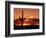 Saguaro at Sunset-James Randklev-Framed Photographic Print