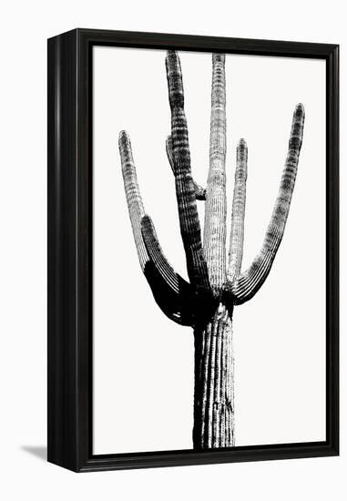 Saguaro Black & White I-Mia Jensen-Framed Stretched Canvas