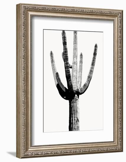 Saguaro Black & White I-Mia Jensen-Framed Photo