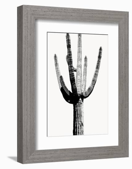 Saguaro Black & White I-Mia Jensen-Framed Photo