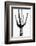 Saguaro Black & White I-Mia Jensen-Framed Photo