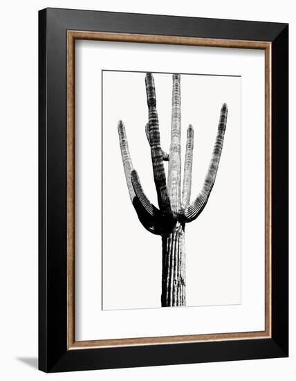 Saguaro Black & White I-Mia Jensen-Framed Photo