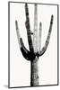 Saguaro Black & White I-Mia Jensen-Mounted Photo